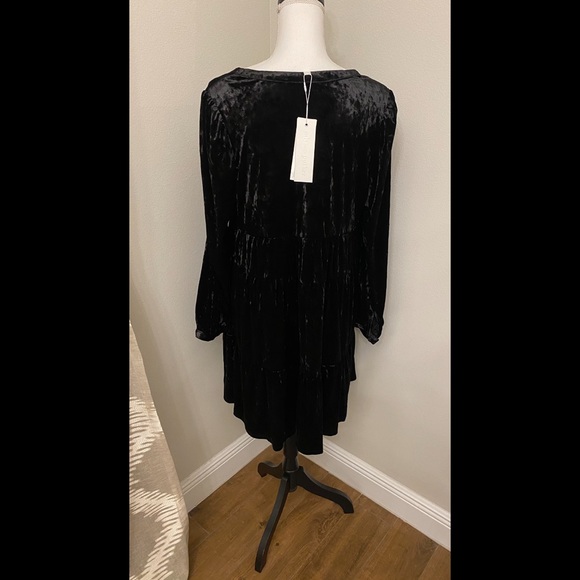 Adyson Parker Velvet Dress - Picture 4 of 6